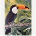 “Toucan – Exotic Bird” — Original Oil Painting by Marina Stognieva